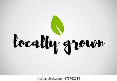 locally grown text green leaf black white logo vector creative company icon design template color colorful black background handwritten handwriting