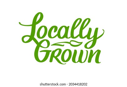 Locally Grown, vector logo template. Hand Drawn brush lettering with plant. Label, brand emblem for organic food, products packaging, farmer market.