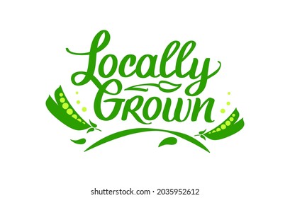 Locally Grown, vector logo template. Hand drawn lettering with green peas. Label, brand emblem for organic food, products packaging, farmer market.