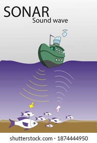 locating fish with sound waves. locating fish with sonar device. Sound waves produced by seismic vehicles. sound waves. sonar device vector