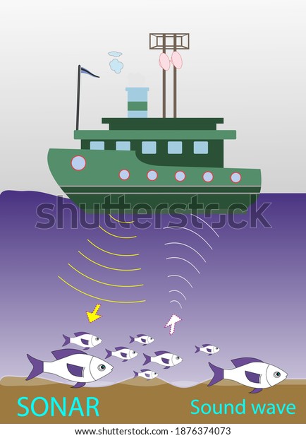 locating fish with sound waves. locating fish with\
sonar device. Sound waves produced by seismic vehicles. sound\
waves. sonar device\
vector