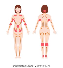 Locations of major lymph nodes and lymph flows. Vector illustration ( no text )