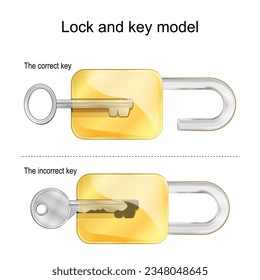 Modelo de bloqueo y clave. Las claves correctas e incorrectas. Ilustración del vector