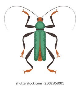 Locust beetle, green bug. Colorful insect. Nature and biodiversity insect spece. Beetle vector flat illustration.