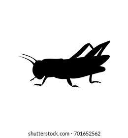 Locust grasshopper insect black silhouette animal. Vector Illustrator.