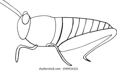 Locust Sketch Images, Stock Photos & Vectors | Shutterstock