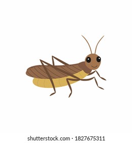 Locust. Vector Illustration Isolated On White Background.