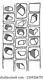 Locust-bark. A very dense hardwood that puts out a lot of heat and a very long burn. For firewood, it is comparable to black locust as far as heat output vintage line drawing or engraving illustration