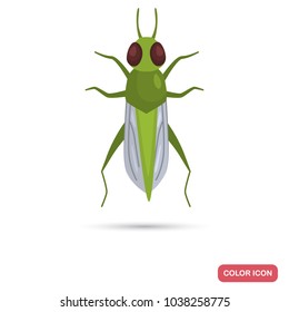 Locusts color flat icon