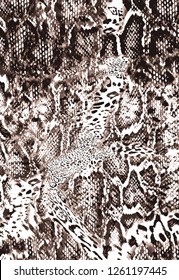 Loepard Zebra Pattern