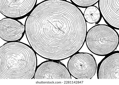 Log cut, tree rings pattern, shades of gray