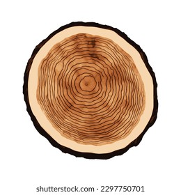 Log cut, tree rings pattern, vector illustration