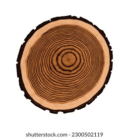 Log cut, tree rings pattern, vector illustration