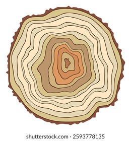 Log cut, tree rings pattern, isolated on white background, vector illustration