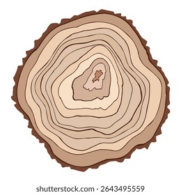 Log cut, tree rings pattern, isolated on white background, vector illustration