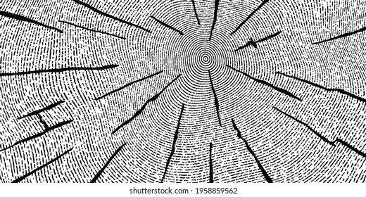 Log cut, vector banner. Tree rings pattern, shades of gray.