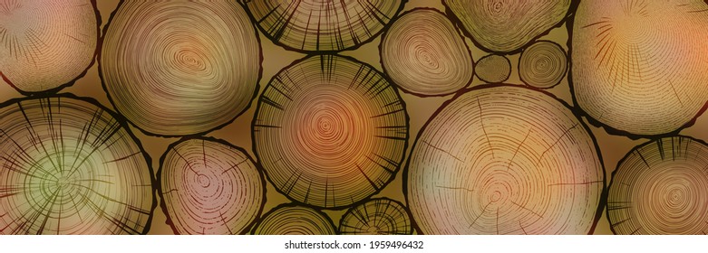 Log cut, vector banner. Tree rings pattern.