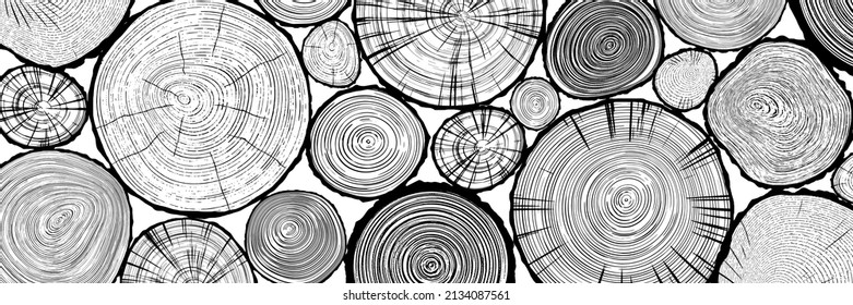 Log cut, vector banner. Tree rings pattern, shades of gray.