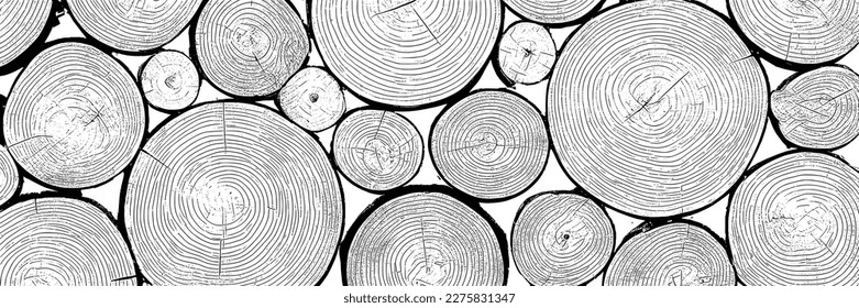 Log cut, vector banner. Tree rings pattern, shades of gray.