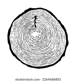 Corte de registro, ilustración vectorial. Patrón de anillos de árbol, tonos grises.