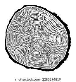 Log cut, vector illustration. Tree rings pattern, shades of gray.