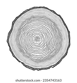 Log cut, vector illustration. Tree rings pattern, shades of gray.