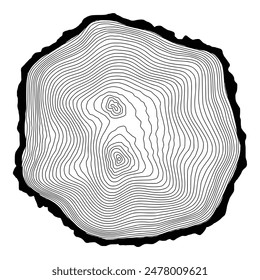 Corte de tronco, Ilustración vectorial, patrón de anillos de árbol, tonos de gris