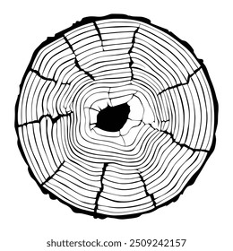 Corte de tronco, Ilustración vectorial, patrón de anillos de árbol, tonos de gris
