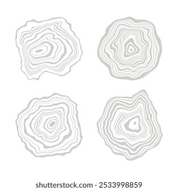 Log cut, vector illustration, tree rings pattern, shades of gray
