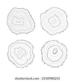 Log cut, vector illustration, tree rings pattern, shades of gray