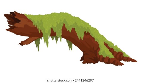 Log, stump in moss. Cartoon tree lichen in swamp jungle. Broken oak in tropical damp forest. Isolated vector design element on white background