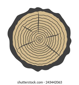 log, tree rings