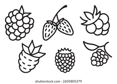 Loganberry Fruit line art set isolated flat vector illustration on white background