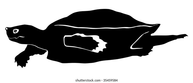 loggerhead turtle