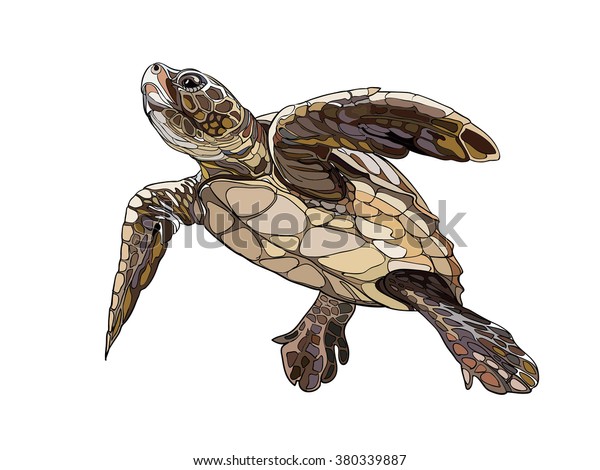 Loggerhead Turtle Caretta Caretta Stock Vector (Royalty Free) 380339887 ...