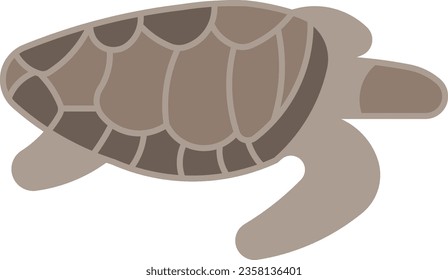 Loggerhead turtle Tortoise animal wild