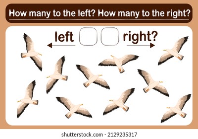 A logic game for kids called Left or right. Spatial orientation with seagulls. Training sheet. Count how many seagulls are turned left and how many are turned right.