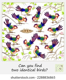 Logic puzzle for children and adults. Can you find two identical birds? Page for kids brain teaser book. Task for attentiveness.  IQ test. Play online. Vector cartoon illustration.