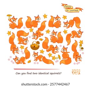 Logic puzzle for children and adults. Game Seek and Find. Can you find two identical squirrels? Page for kids brain teaser book. Task for attentiveness. IQ test. Play online. Vector illustration.