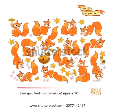 Logic puzzle for children and adults. Game Seek and Find. Can you find two identical squirrels? Page for kids brain teaser book. Task for attentiveness. IQ test. Play online. Vector illustration.