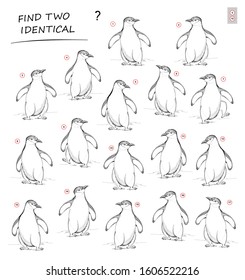 Logic puzzle game for children and adults. Need to find two identical penguins. Printable page for kids brain teaser book. Developing spatial thinking skills. IQ test. Hand-drawn vector cartoon image.