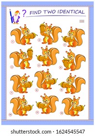 Logic puzzle game for children and adults. Need to find two identical squirrels. Printable page for kids brain teaser book. Developing spatial thinking skills. IQ training test. Vector cartoon image.