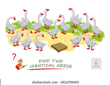 Logic puzzle game for children and adults. Find two identical geese. Printable page for kids brain teaser book. Developing spatial thinking skills. IQ test. Task for attentiveness. Play online.