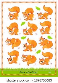 Logic puzzle game for children and adults. Find two identical squirrels. Memory training exercises for seniors. Printable page for kids brain teaser book. IQ test. Play online.