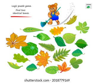 Logic puzzle game for children and adults. Find two identical leaves. Memory exercises for seniors. Page for brain teaser book. Developing spatial thinking. IQ test. Play online. Kids activity sheet.