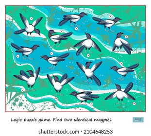 Logic Puzzle Game For Children And Adults. Find Two Identical Magpies. Page For Kids Brain Teaser Book. Memory Exercises For Seniors. Developing Spatial Thinking. IQ Test. Play Online. Vector Image.