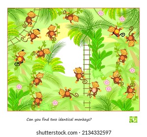 Logic puzzle game for children and adults. Can you find two identical monkeys? Page for kids brain teaser book. Task for attentiveness. IQ test. Play online. Jungle animals. Vector cartoon image.