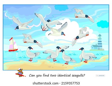 Logic puzzle game for children and adults. Can you find two identical seagulls? Page for kids brain teaser book. Task for attentiveness. Sea life. IQ test. Play online. Vector cartoon illustration.