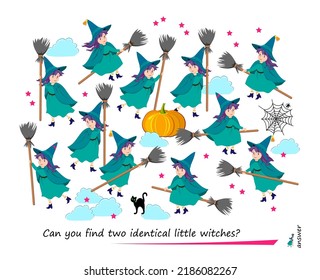 Logic puzzle game for children and adults. Can you find two identical little witches? Page for kids brain teaser book. Task for attentiveness.  IQ test. Play online. Vector cartoon illustration.