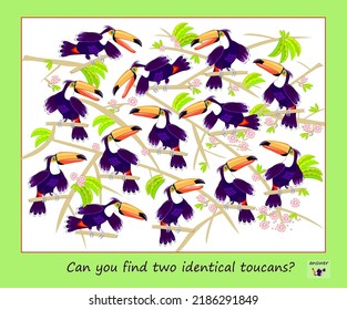 Logic puzzle game for children and adults. Can you find two identical toucans? Page for kids brain teaser book. Task for attentiveness.  IQ test. Play online. Vector cartoon illustration.